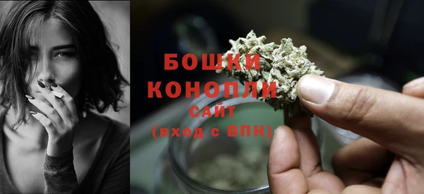 дживик Белокуриха