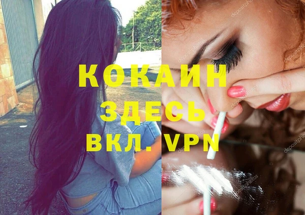 дживик Белокуриха