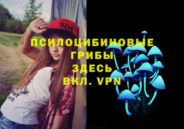 дживик Белокуриха