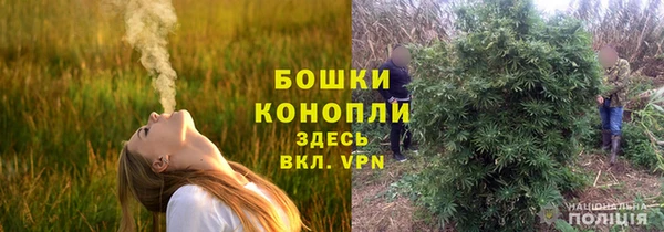 прущие крисы Белоозёрский