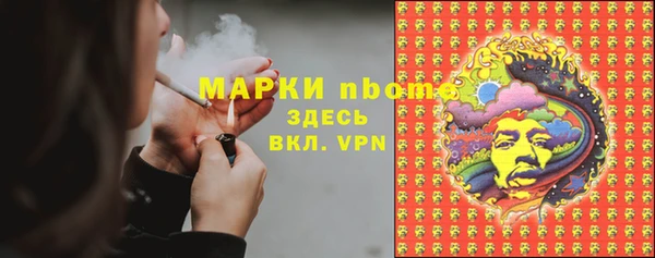 дживик Белокуриха