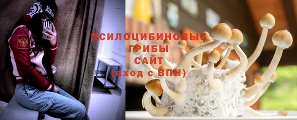 дживик Белокуриха
