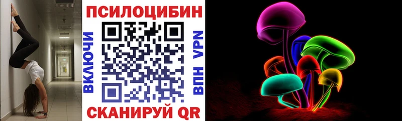 Галлюциногенные грибы Psilocybine cubensis  Муравленко 